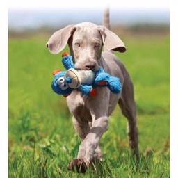 Kong Hunde Legetøj Cross Knots MONKEY